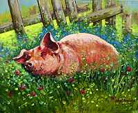 Happy as a Pig in..