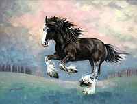 Spirit of Freedom